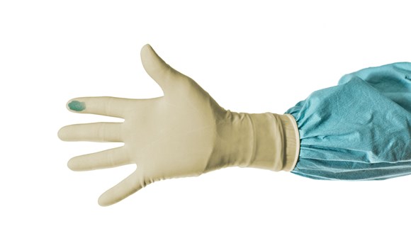 Natural latex surgical gloves